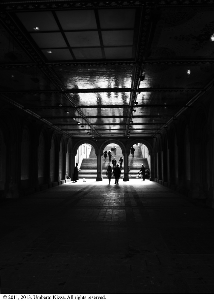 IMG_0910