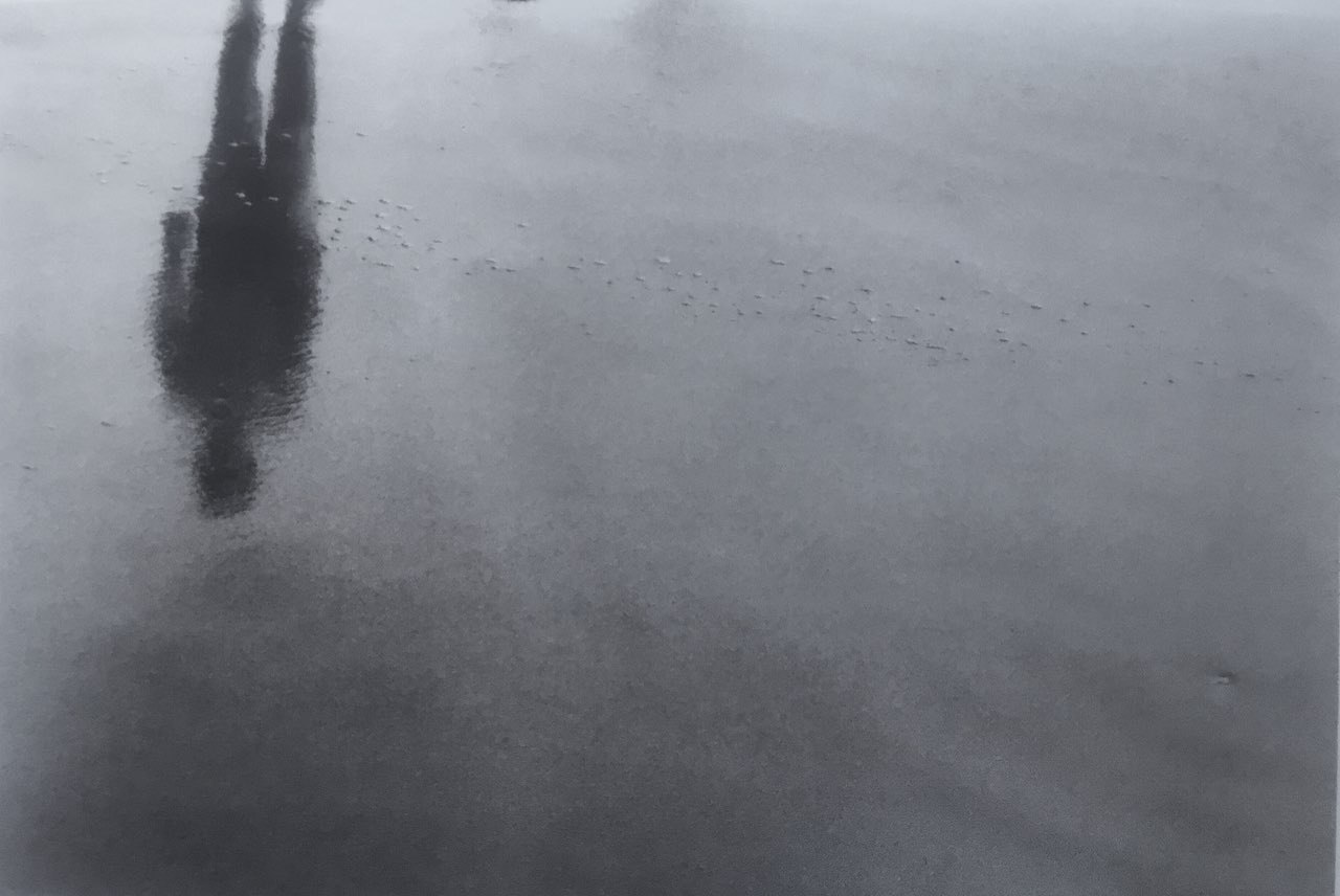 EB587B9A-44FA-466D-BED8-EDD246AAADB2